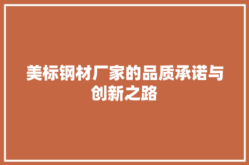 美标钢材厂家的品质承诺与创新之路