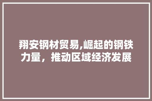 翔安钢材贸易,崛起的钢铁力量，推动区域经济发展