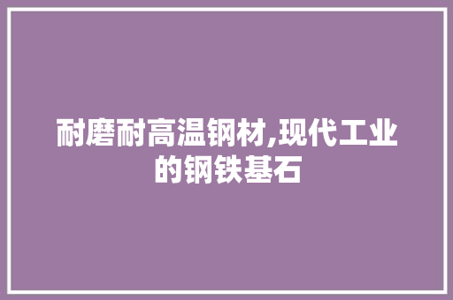 耐磨耐高温钢材,现代工业的钢铁基石