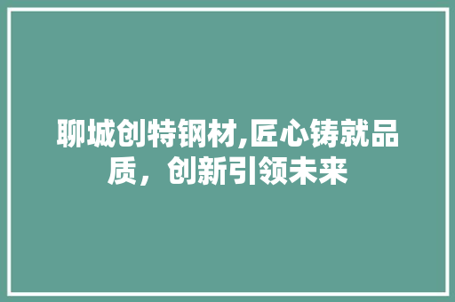 聊城创特钢材,匠心铸就品质，创新引领未来