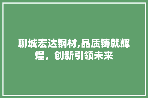 聊城宏达钢材,品质铸就辉煌，创新引领未来
