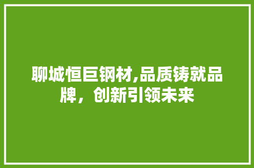 聊城恒巨钢材,品质铸就品牌，创新引领未来