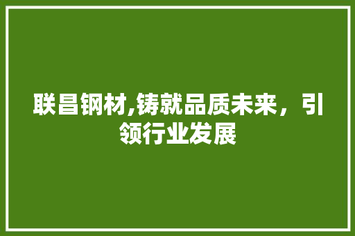 联昌钢材,铸就品质未来，引领行业发展