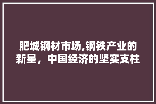 肥城钢材市场,钢铁产业的新星，中国经济的坚实支柱