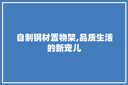 自制钢材置物架,品质生活的新宠儿