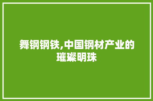 舞钢钢铁,中国钢材产业的璀璨明珠