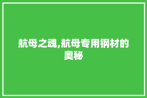 航母之魂,航母专用钢材的奥秘
