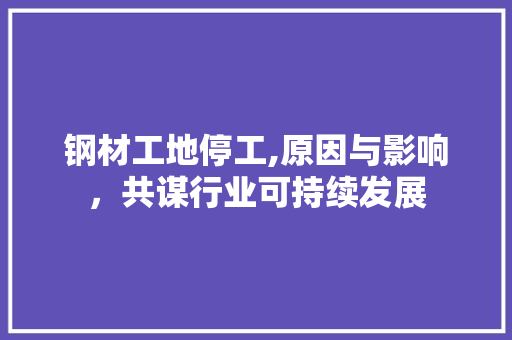 钢材工地停工,原因与影响，共谋行业可持续发展
