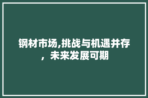 钢材市场,挑战与机遇并存，未来发展可期