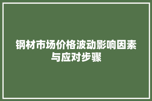 钢材市场价格波动影响因素与应对步骤