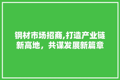 钢材市场招商,打造产业链新高地，共谋发展新篇章