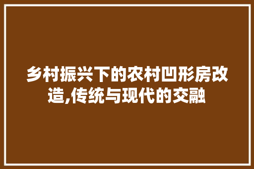 乡村振兴下的农村凹形房改造,传统与现代的交融