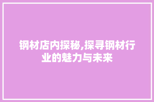 钢材店内探秘,探寻钢材行业的魅力与未来
