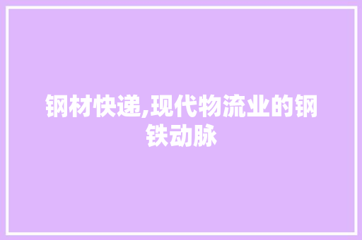 钢材快递,现代物流业的钢铁动脉