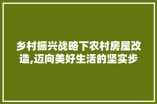 乡村振兴战略下农村房屋改造,迈向美好生活的坚实步伐