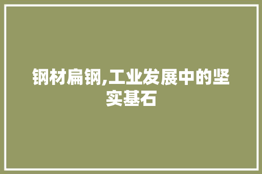 钢材扁钢,工业发展中的坚实基石