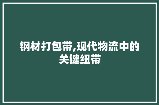 钢材打包带,现代物流中的关键纽带