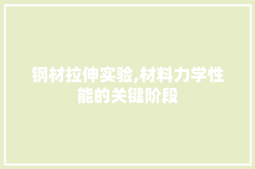 钢材拉伸实验,材料力学性能的关键阶段