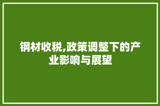 钢材收税,政策调整下的产业影响与展望