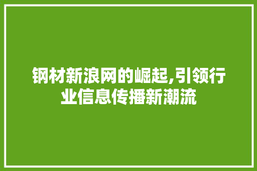 钢材新浪网的崛起,引领行业信息传播新潮流