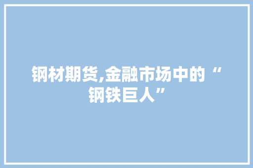 钢材期货,金融市场中的“钢铁巨人”