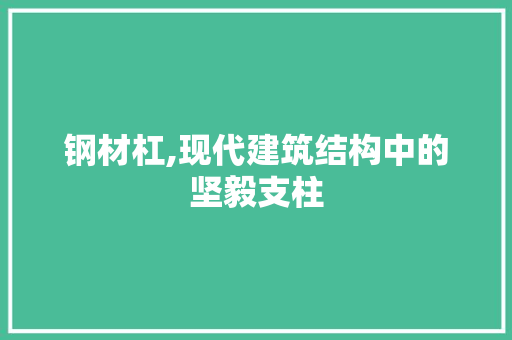 钢材杠,现代建筑结构中的坚毅支柱