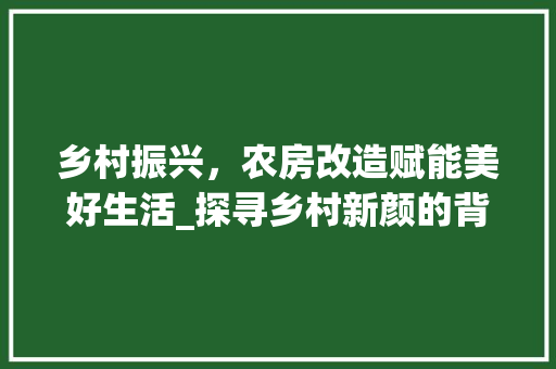乡村振兴，农房改造赋能美好生活_探寻乡村新颜的背后