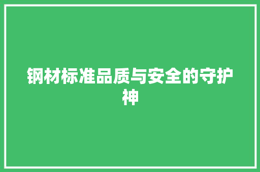钢材标准品质与安全的守护神