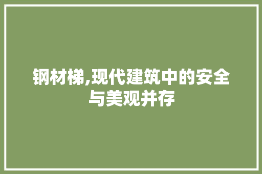 钢材梯,现代建筑中的安全与美观并存