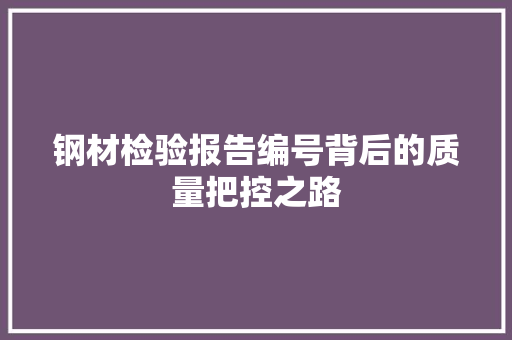 钢材检验报告编号背后的质量把控之路