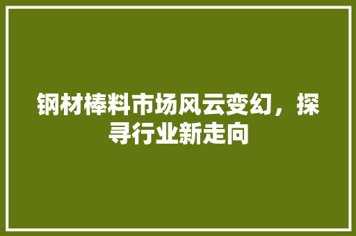 钢材棒料市场风云变幻，探寻行业新走向