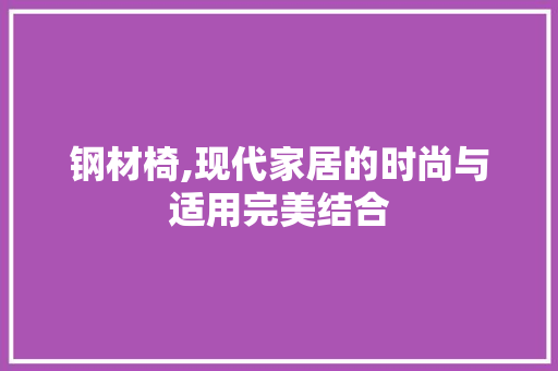 钢材椅,现代家居的时尚与适用完美结合