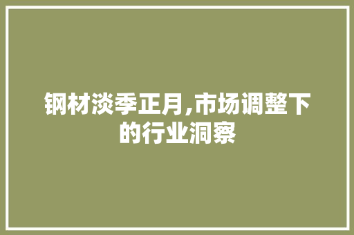 钢材淡季正月,市场调整下的行业洞察