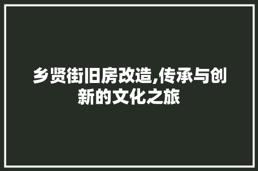 乡贤街旧房改造,传承与创新的文化之旅