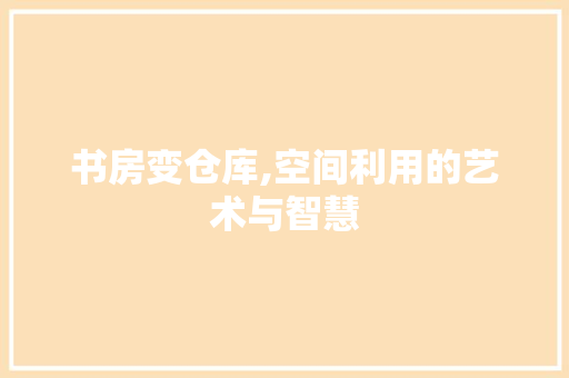 书房变仓库,空间利用的艺术与智慧