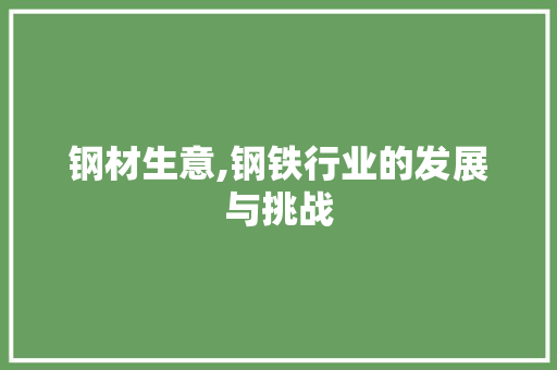 钢材生意,钢铁行业的发展与挑战