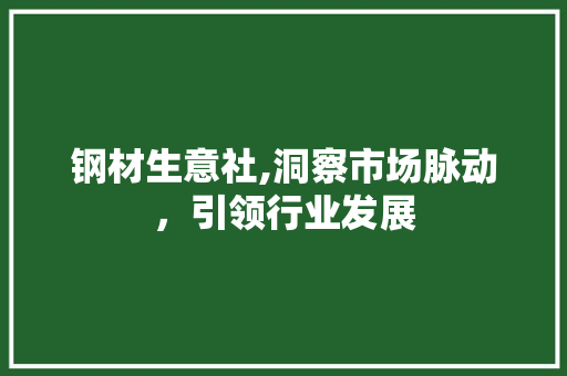 钢材生意社,洞察市场脉动，引领行业发展
