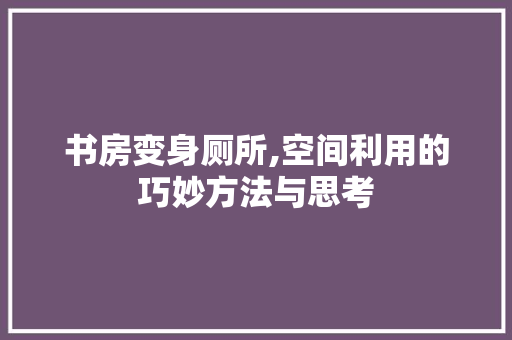 书房变身厕所,空间利用的巧妙方法与思考