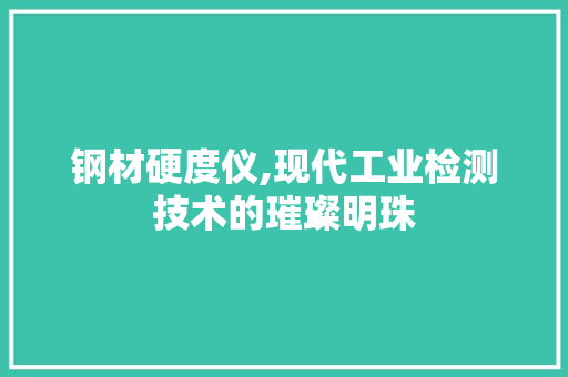 钢材硬度仪,现代工业检测技术的璀璨明珠