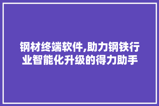 钢材终端软件,助力钢铁行业智能化升级的得力助手