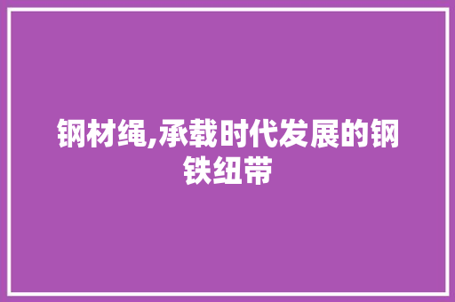 钢材绳,承载时代发展的钢铁纽带