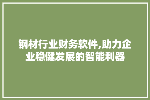钢材行业财务软件,助力企业稳健发展的智能利器