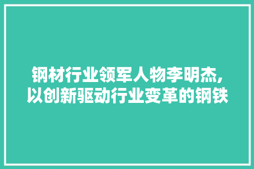 钢材行业领军人物李明杰,以创新驱动行业变革的钢铁侠