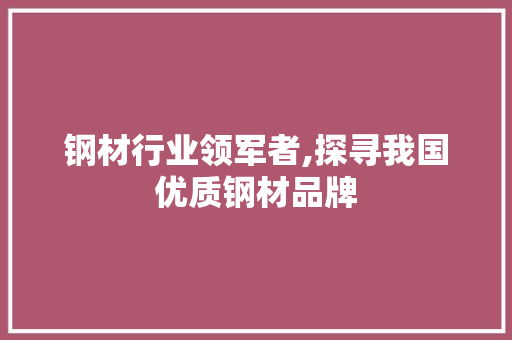 钢材行业领军者,探寻我国优质钢材品牌