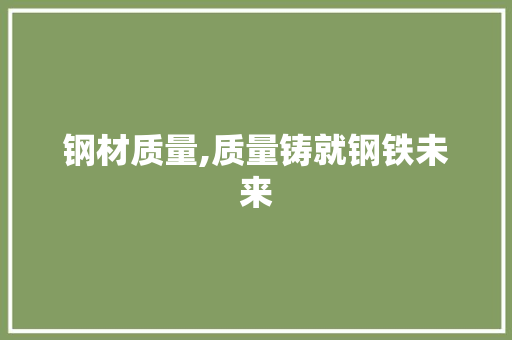 钢材质量,质量铸就钢铁未来