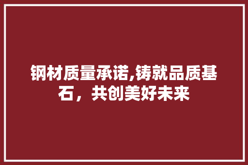 钢材质量承诺,铸就品质基石，共创美好未来