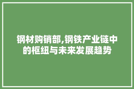 钢材购销部,钢铁产业链中的枢纽与未来发展趋势