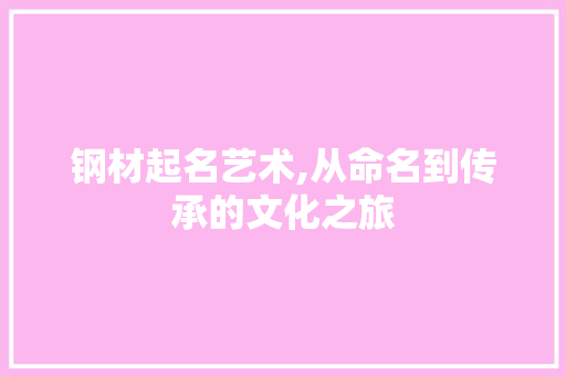 钢材起名艺术,从命名到传承的文化之旅