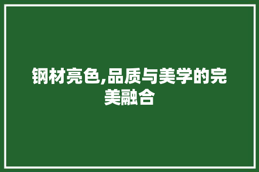 钢材亮色,品质与美学的完美融合
