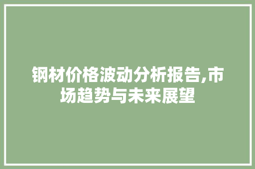 钢材价格波动分析报告,市场趋势与未来展望